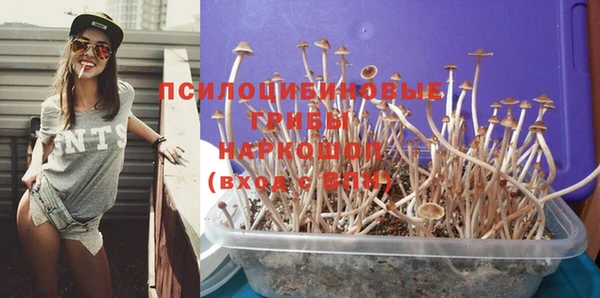 гидропоника Белокуриха
